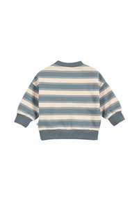 Striped pullover sweatshirt in cream and light blue, with ribbed cuffs and hem. Soft fabric, dropped shoulders, and a crew neck design.