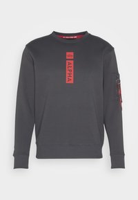 Sweatshirt - vintage grey