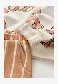 Unselected, brown neutral teddy bear