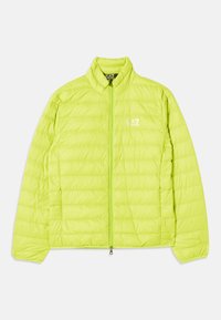 Unselected, macaw green