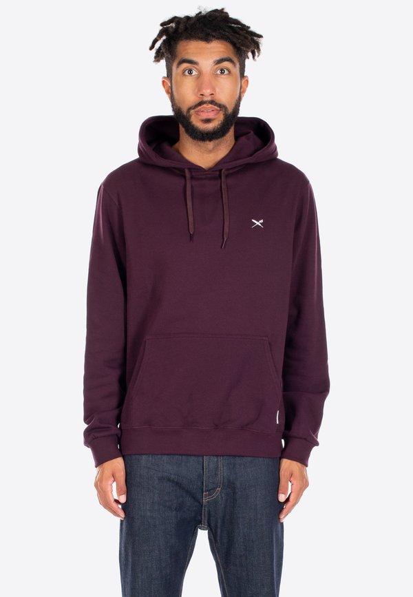 MINI FLAG 2 - Kapuzenpullover - aubergine