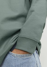 Jack & Jones CREW NECK - Pikkade varrukatega topp - laurel wreath