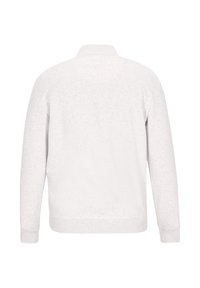 Ljusgrå sweatshirt med ribbad krage och muddar, i mjukt, texturerat tyg och avslappnad passform. Enkel rygg utan extra detaljer.