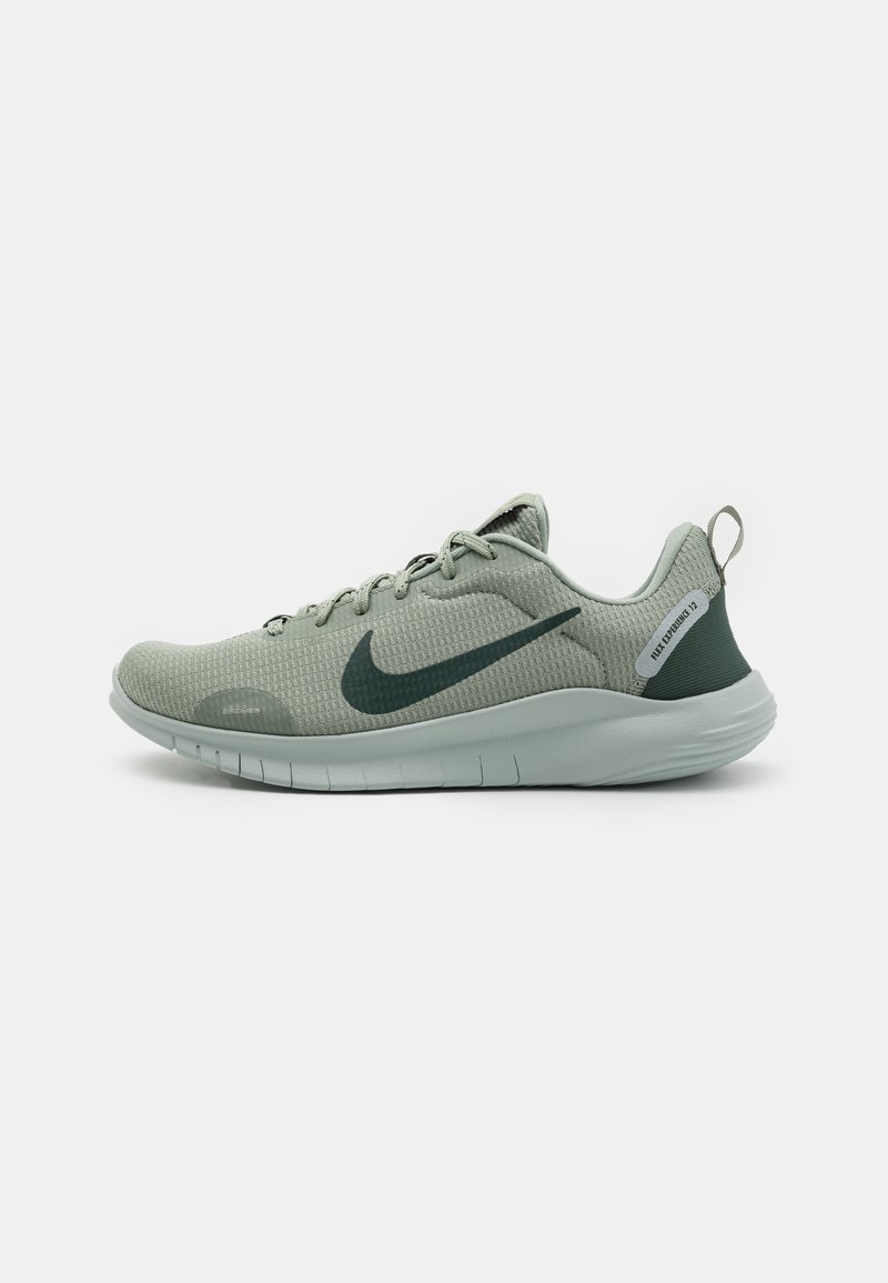 Nike Performance FLEX EXPERIENCE RUN 12 - Tenisice za trening - jade horizon/vintage green/light silver
