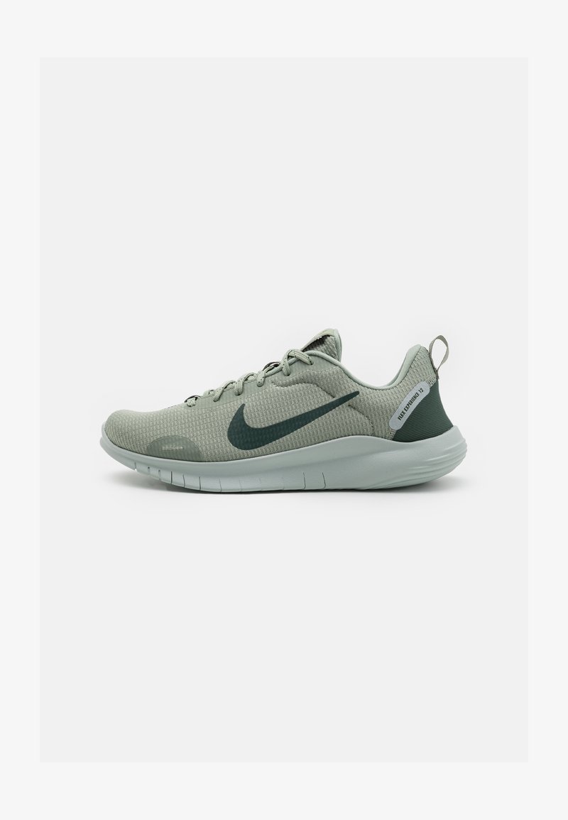 Nike Performance FLEX EXPERIENCE RUN 12 - Sapatilha de treino - jade horizon/vintage green/light silver