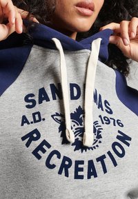 Superdry & Co Jersey con capucha - mottled grey