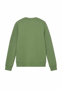 Sudadera verde con mangas largas, cuello redondo y puños acanalados. Textura suave y corte relajado, sin patrones ni acentos visibles.