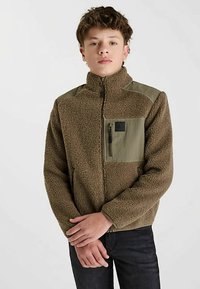 Veste en polaire marron avec un panneau d'épaule en tissu vert, col montant et poche poitrine zippée. Texture douce et coupe décontractée.