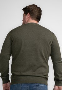 Olive green knitted sweater with a round neckline and ribbed cuffs and hem. Smooth texture, fitted design showcasing back view.