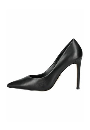Schwarze Leder-Pumps mit hohen Absätzen, spitz zulaufender Zehenpartie, eleganter Silhouette und schlankem Stiletto-Absatz. Glatte Textur mit minimalistischem Design.
