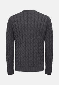 Only & Sons ONSKICKER LIFE  CABLE CREW - Trui - grau