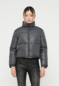 Kuttet grå puffjakke med høy krage, hel glidelås og kvilte tekstur. Modellen har den på seg med svarte jeans mot en enkel bakgrunn.