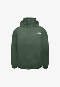 Unselected, duck green