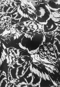 Sort-hvidt stof med et gentaget blomsterprint, der har detaljerede teksturer og varierede former, og som viser kontrast og intrikate designs.