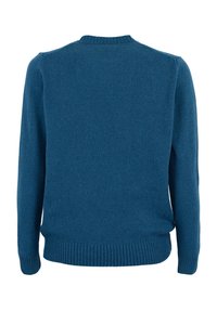 Maglione blu lavorato a maglia con maniche lunghe, scollatura rotonda e orlo a coste. Texture morbida, design semplice, senza motivi o decorazioni visibili.