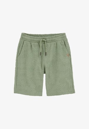 Groene kortere broek met trekkoord, elastische tailleband en zijzakken, voorzien van een klein bruin logoplaatje aan de rechterzijde.