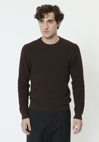 Pull marron en tricot avec un col rond et des manches longues. Texture côtelée aux poignets et à l'ourlet. Porté avec un pantalon foncé sur un fond uni.