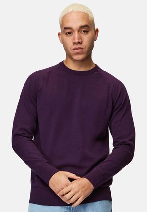 HONESTY RULES BASIC - Jumper - dark purple