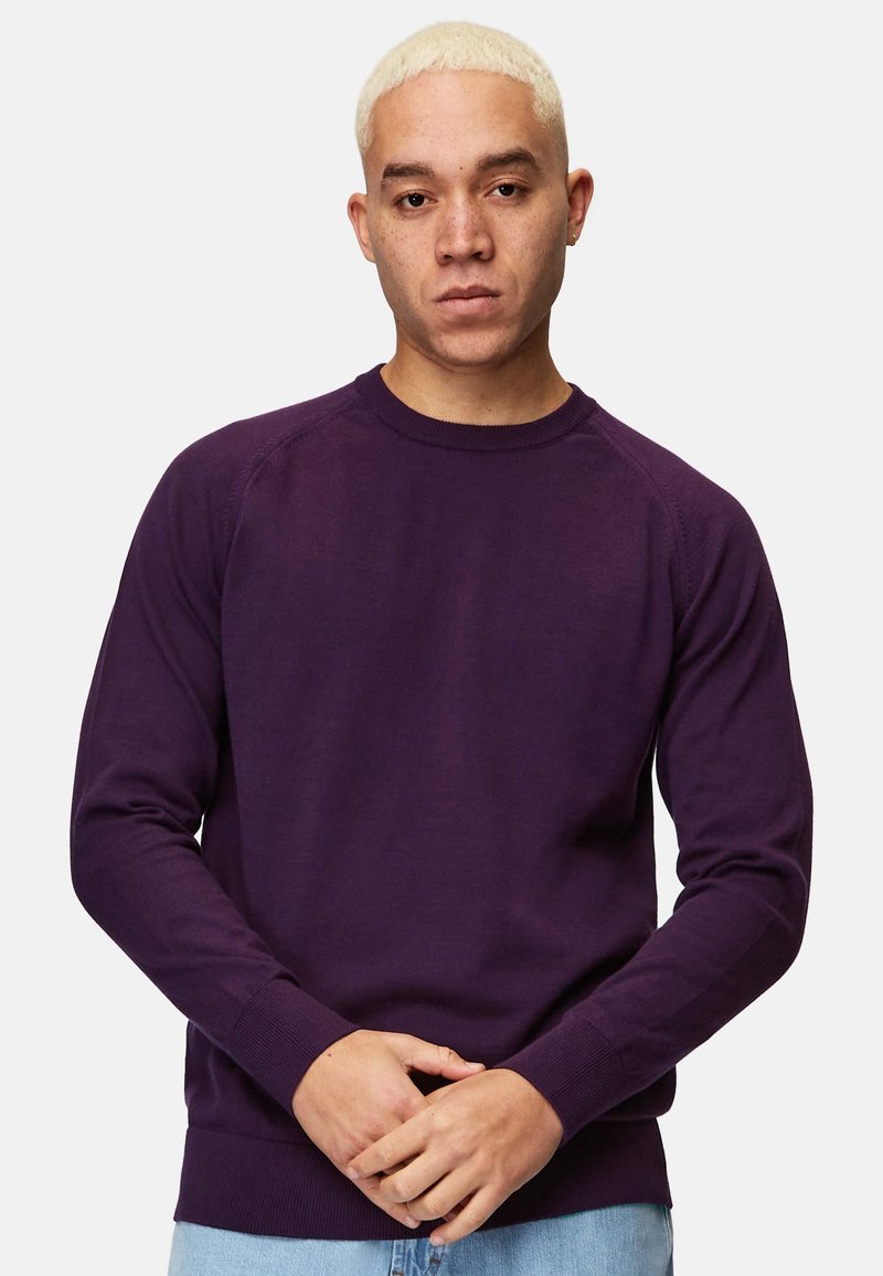 Purple sweater with long sleeves, round neckline, ribbed cuffs and hem. Smooth texture, fitted design, and raglan sleeve detailing.