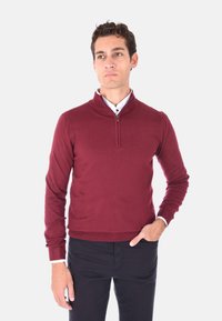 Maglione a maniche lunghe color bordeaux con colletto a mezza zip, polsini e orlo a coste. Indossato sopra una camicia bianca con colletto, realizzato in un morbido tessuto testurizzato.