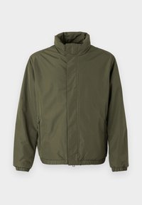 Não selecionado, beetle