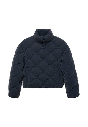 TEEN - Vinterjakker - royal blue