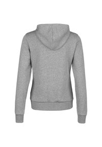 Grijze katoenen hoodie met een verstelbare capuchon, lange mouwen, ribgebreide manchetten en zoom, en een aansluitend ontwerp. Geen patronen of aanvullende details zichtbaar.