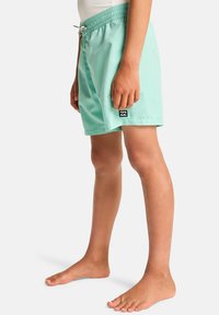 Shorts de bain vert menthe clair avec une taille élastique, un cordon de serrage et des poches latérales. Présentent un petit logo noir à l'ourlet.