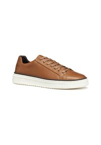 Sneaker in pelle marrone con profilo basso, punta rotonda e design con lacci. Presenta una suola in gomma bianca con un motivo testurizzato.