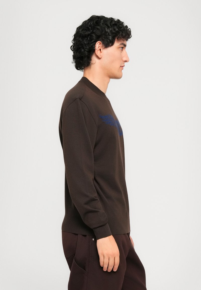 Jeune homme avec des cheveux bouclés portant un pull brun foncé avec un motif d'aile bleue, se tenant de côté contre un fond clair.