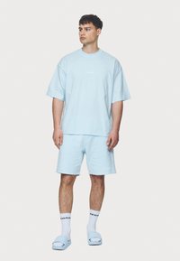 Pegador LOGO BOXY TEE - Basic T-shirt - washed baby blue