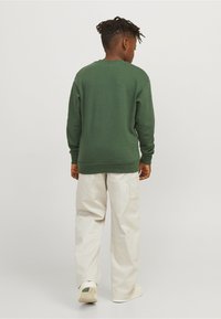 Felpa verde con vestibilità comoda, polsini e bordo a costine, abbinata a pantaloni cargo color crema; vista dal retro.