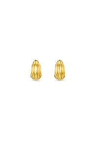 Boucles d'oreilles de couleur or arborant un design strié, évoquant des coquillages avec une finition lisse, façonnées pour ressembler à de petits coquillages stylisés.