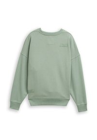Lichtgroene sweatshirt met een ronde hals, verlaagde schouders en geribde manchetten. Bevat gestikte tekstaccenten en een vierkante patchdetails.