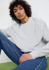 Lys grå sweatshirt med rund halsudskæring og ribbede manchetter, med et subtilt logo. Kombineret med blå denim jeans, siddende på en grøn overflade.
