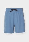 ENDURANCE SHORTS MEN - Sportiniai šortai - light teal