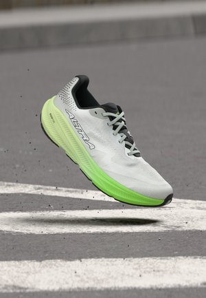 Altra EXPERIENCE FLOW 3 - Παπούτσια για τρέξιμο σε δρόμο - white/black/green gecko