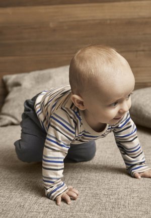 EN FANT LONG SLEEVES STRIPE - Body - flint stone