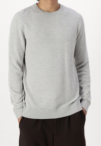 Maglione in maglia grigia chiara con un motivo testurizzato, scollo a girocollo e polsini e orlo a coste. Indossato sopra pantaloni scuri, con le mani in tasca.