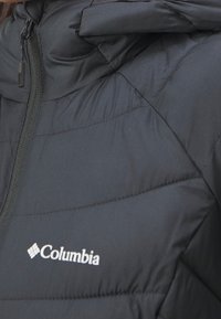 Columbia Abrigo de invierno - black