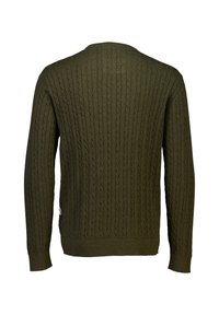 Maglione verde oliva con texture a trecce, maniche lunghe e scollo a giro. Presenta dettagli a coste su polsini e orlo.