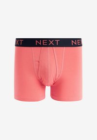 Next A FRONTS 10 PACK - Calzoncillos - mixed colour