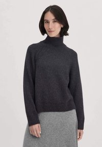 Dunkelgrauer Rollkragenpullover mit gerippten Bündchen und Saum, aus einem strukturierten Strickmaterial gefertigt, mit Raglanärmeln und lockerer Passform.