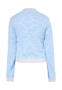 Maglione di un blu chiaro, morbido e vaporoso, con un motivo testurizzato di un blu pallido. Presenta polsini e orlo a coste, con un collo rotondo.