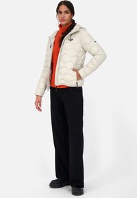 alife & kickin ROXANNE - Giacca invernale - pumice