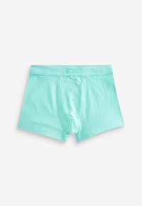 Next 7 PACK - Panties - bright colour