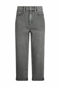 HIGH-WAISTED - Traperice ravnih nogavica - grey