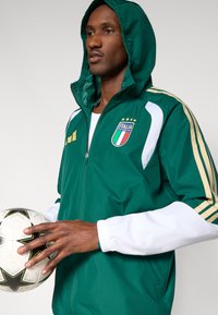 Vihreä urheilutakki hupulla, valkoisilla hihoilla, kultaisilla yksityiskohdilla ja Italia-logolla, jossa on neljä tähteä. Pelaaja pitelee mustavalkoista jalkapalloa.