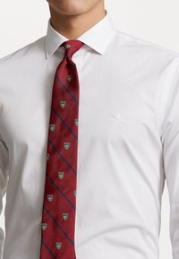 Punainen solmio, jossa on vinoraitoja sinisenä ja pieniä vihreitä kilpikuviota, pidettynä valkoisen paidan päällä, jossa on hillitty logo.