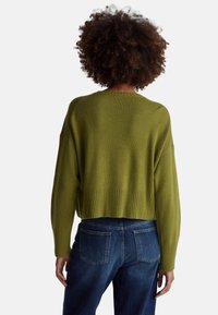 Zelený krátký svetr s žebrovaným lemem a rukávy, pletená textura, v kombinaci s modrými džíny s vysokým pasem. Pohled zezadu.